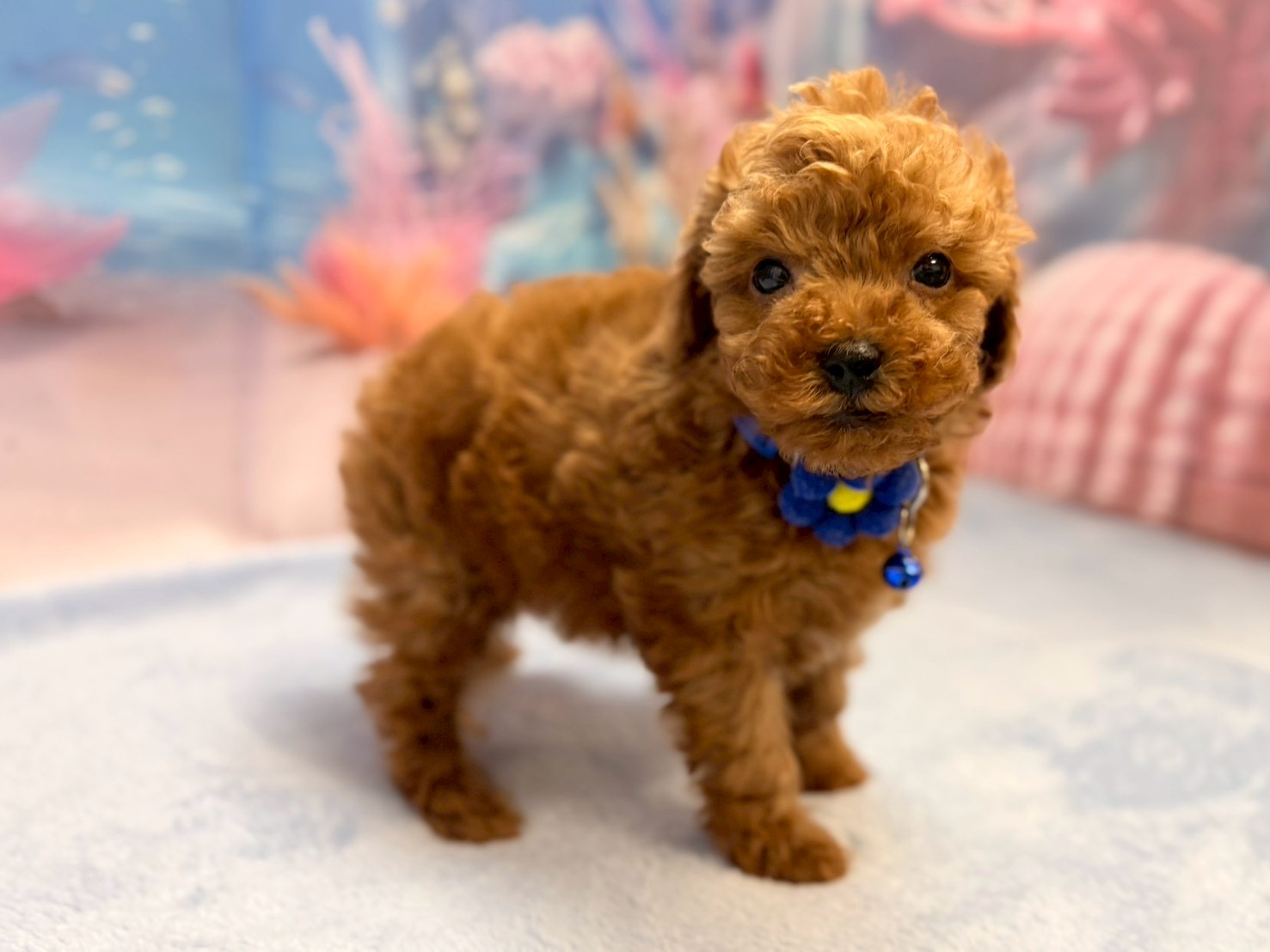 赤ちゃん写真3-2