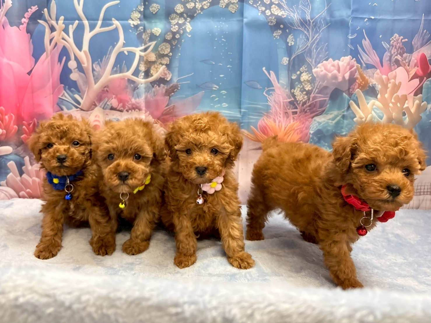 赤ちゃん写真3-3