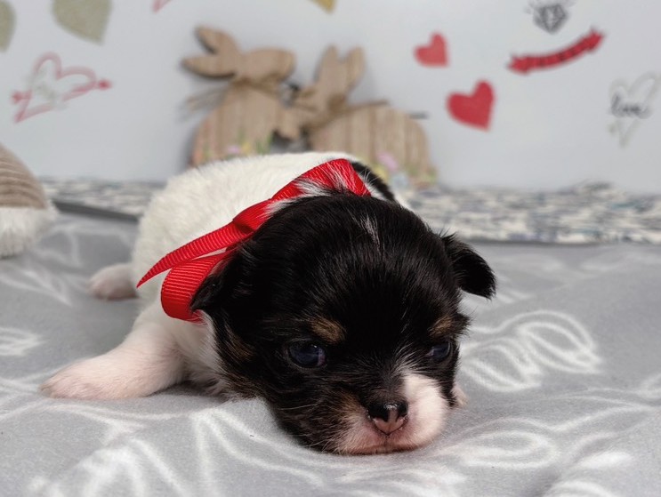 赤ちゃん写真1-1