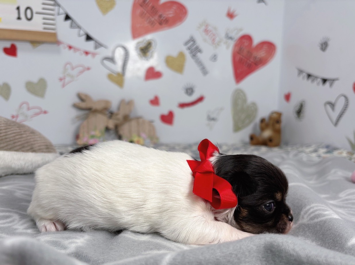 赤ちゃん写真1-2