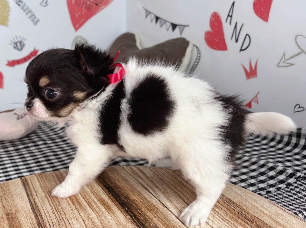 赤ちゃん写真2-2