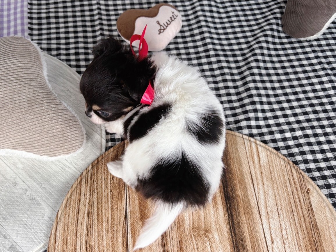 赤ちゃん写真2-3