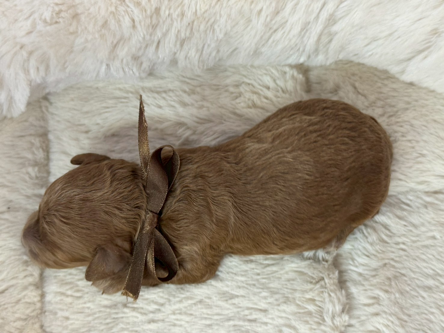 赤ちゃん写真1-3