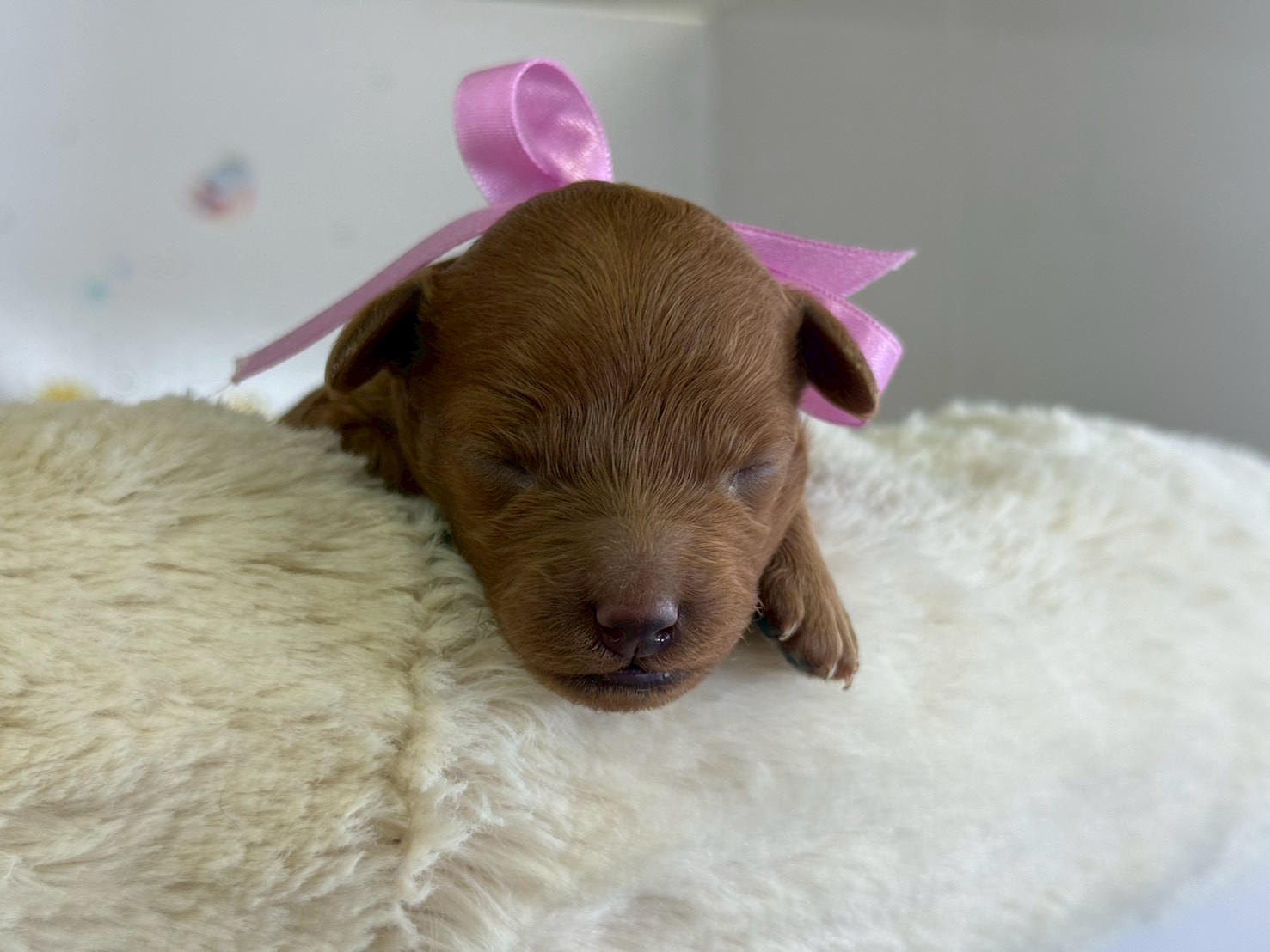 赤ちゃん写真1-1