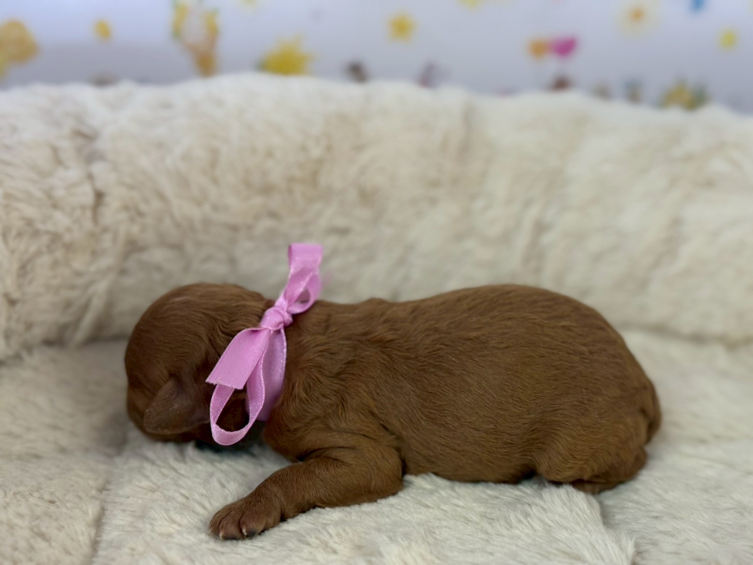 赤ちゃん写真1-2