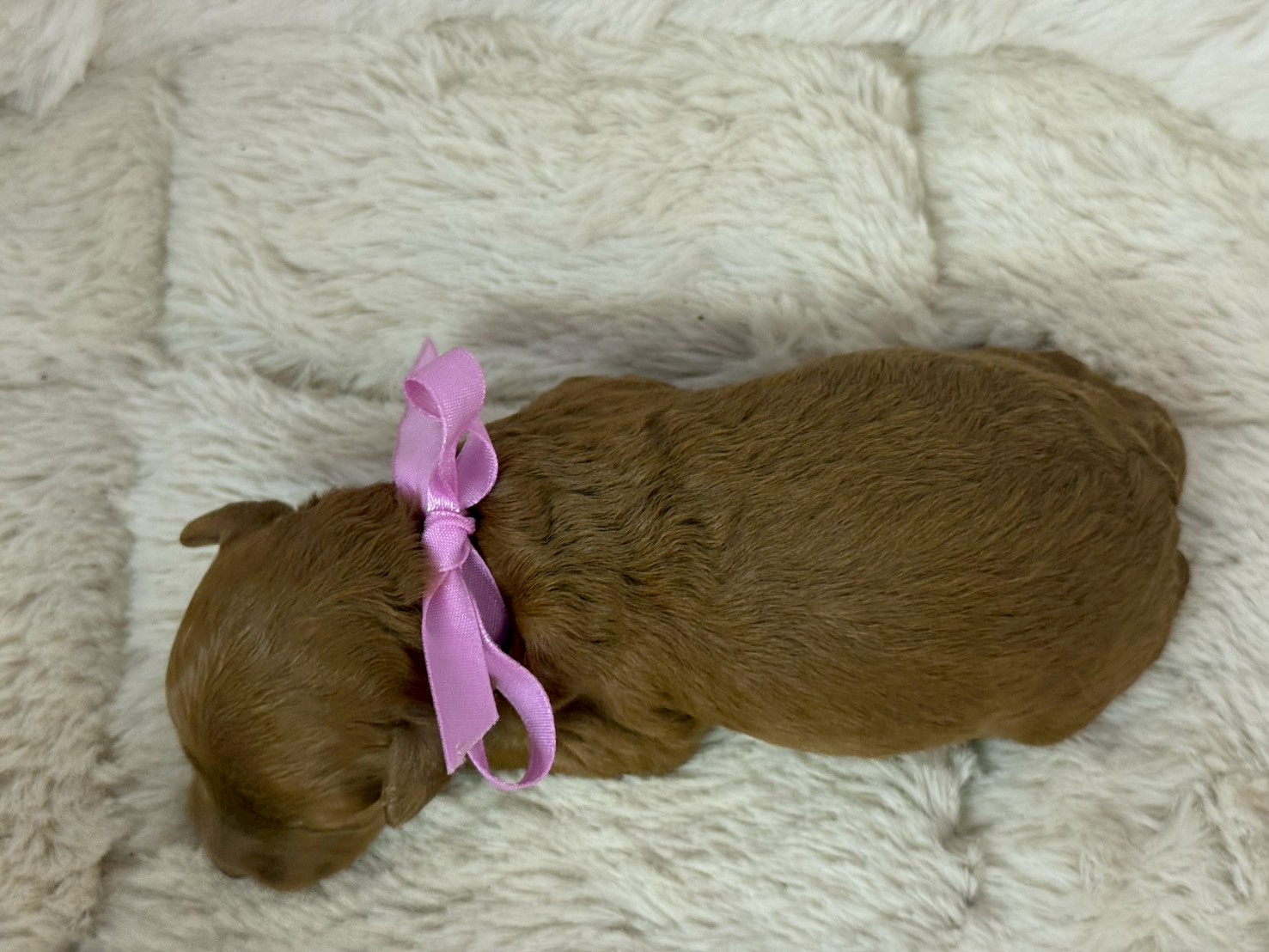 赤ちゃん写真1-3