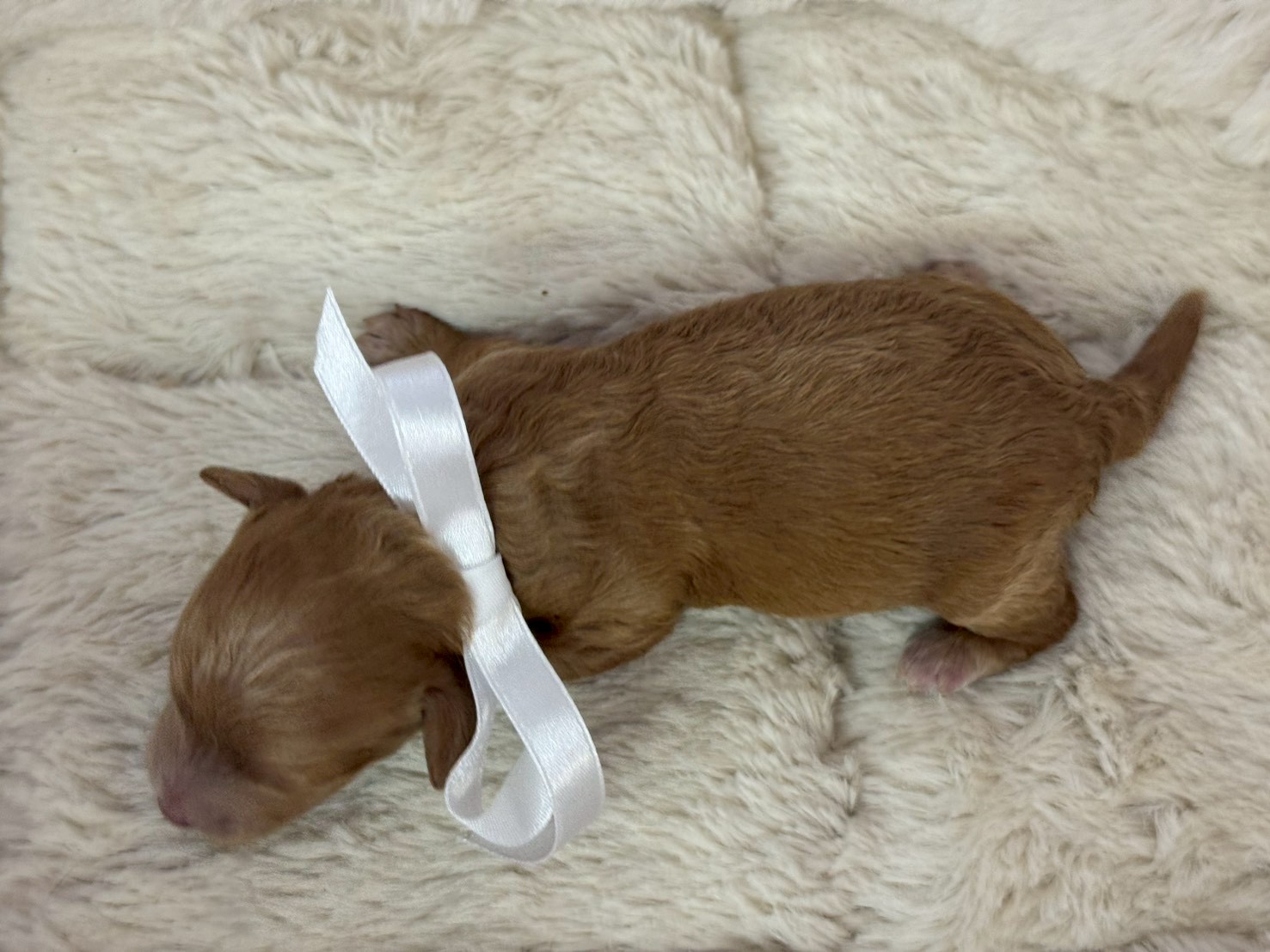 赤ちゃん写真1-3