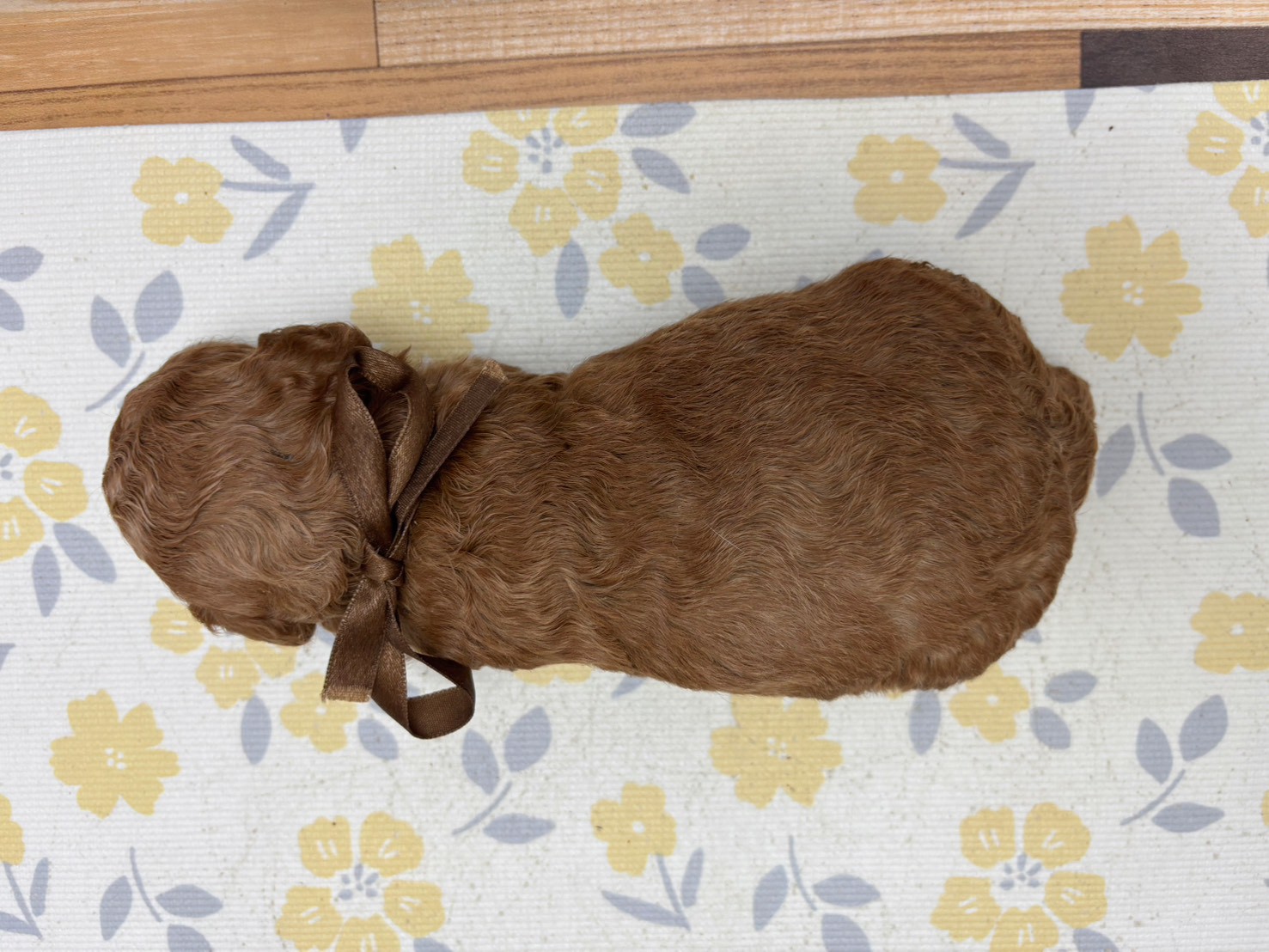 赤ちゃん写真2-3