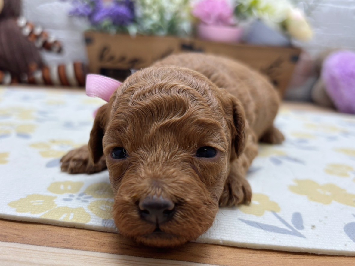 赤ちゃん写真2-1