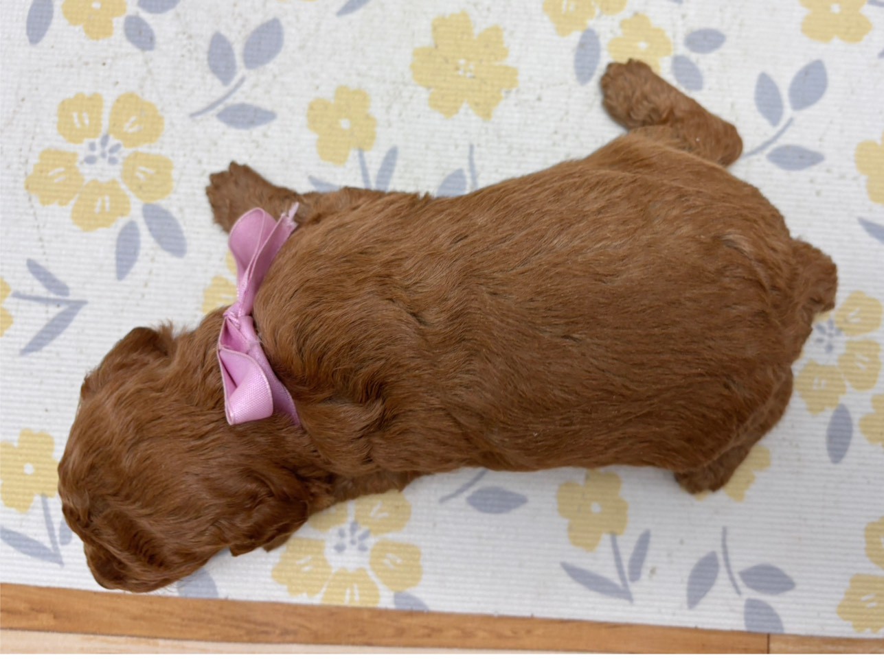 赤ちゃん写真2-3