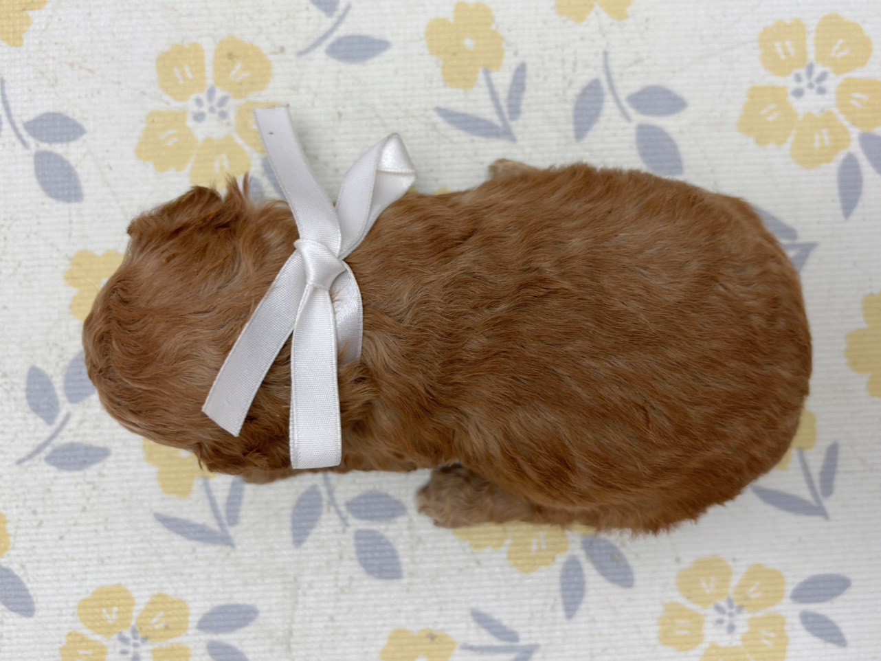 赤ちゃん写真2-3