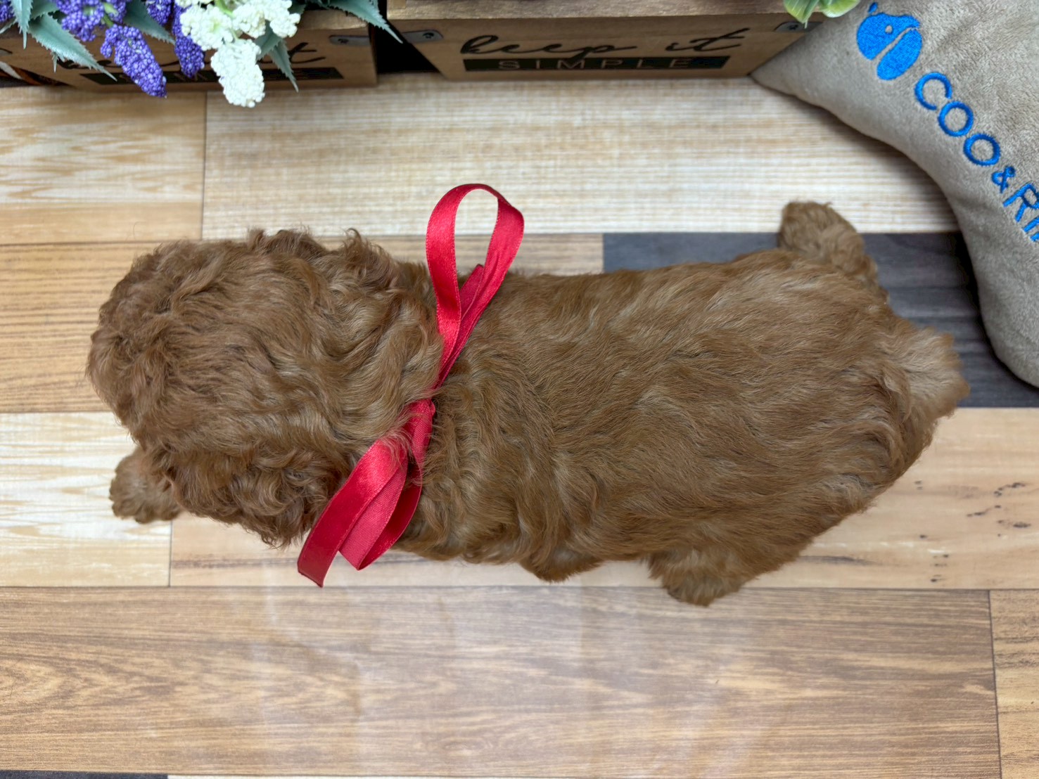 赤ちゃん写真3-3