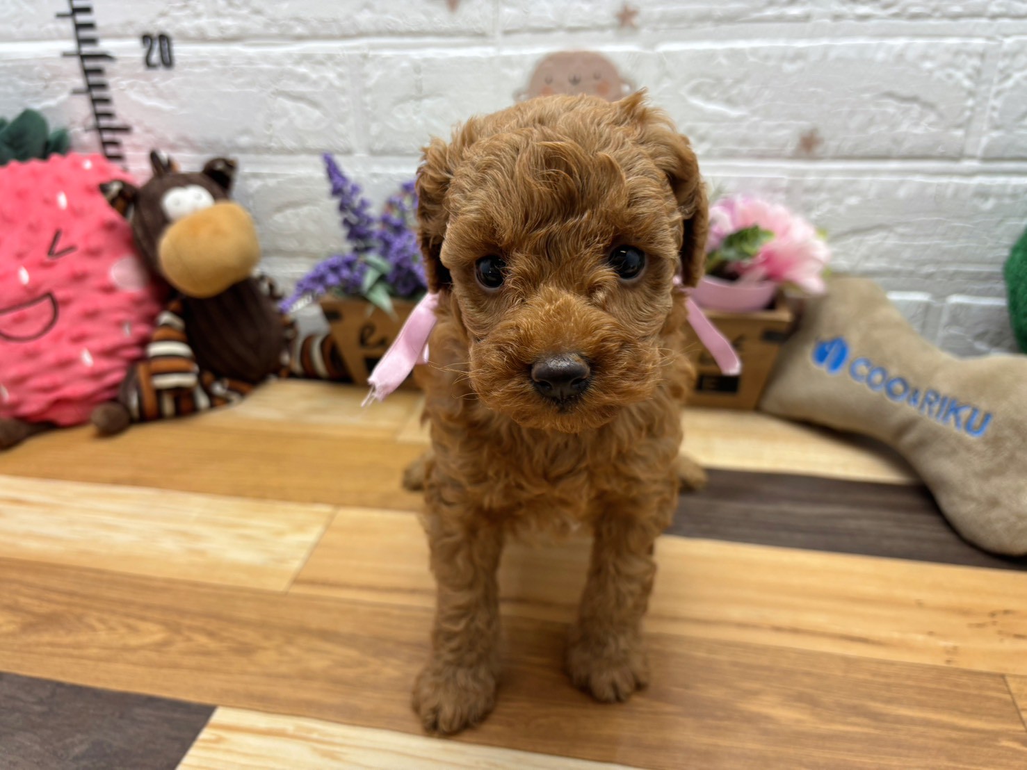 赤ちゃん写真3-1