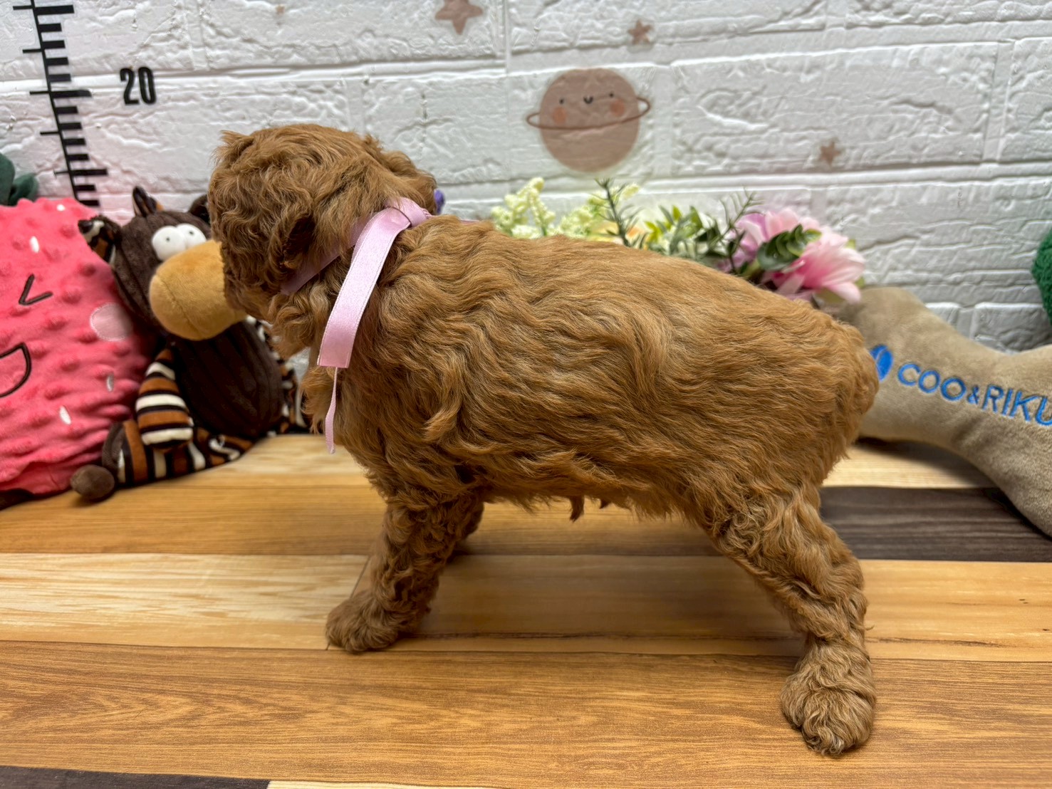 赤ちゃん写真3-2