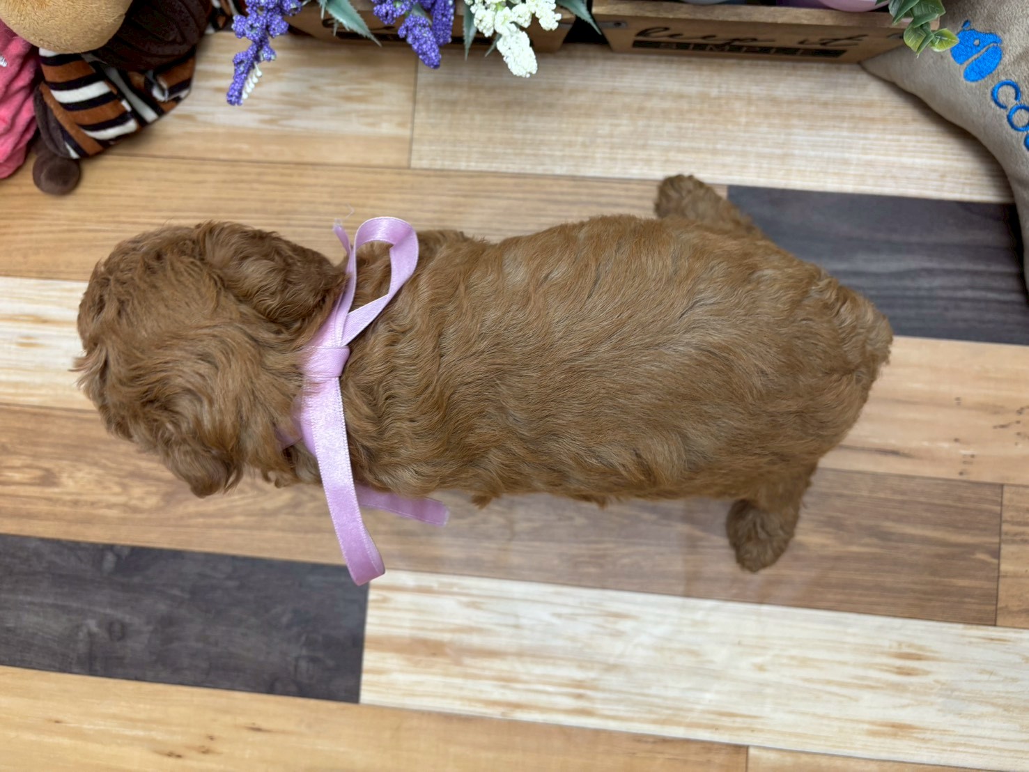 赤ちゃん写真3-3