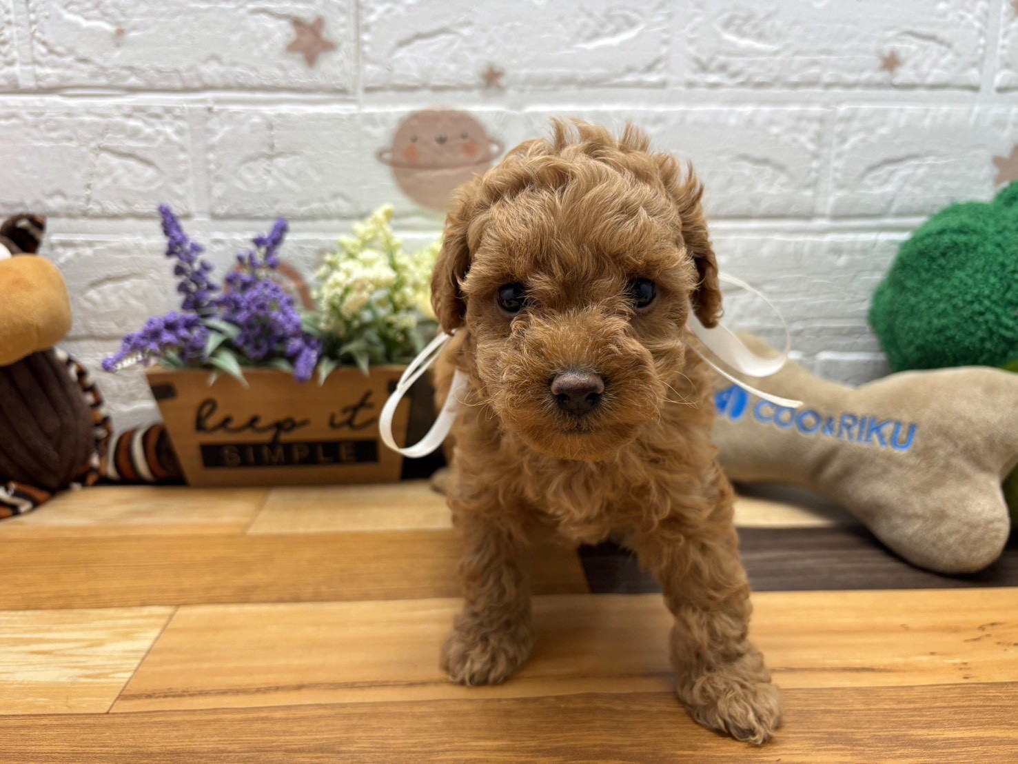 赤ちゃん写真3-1