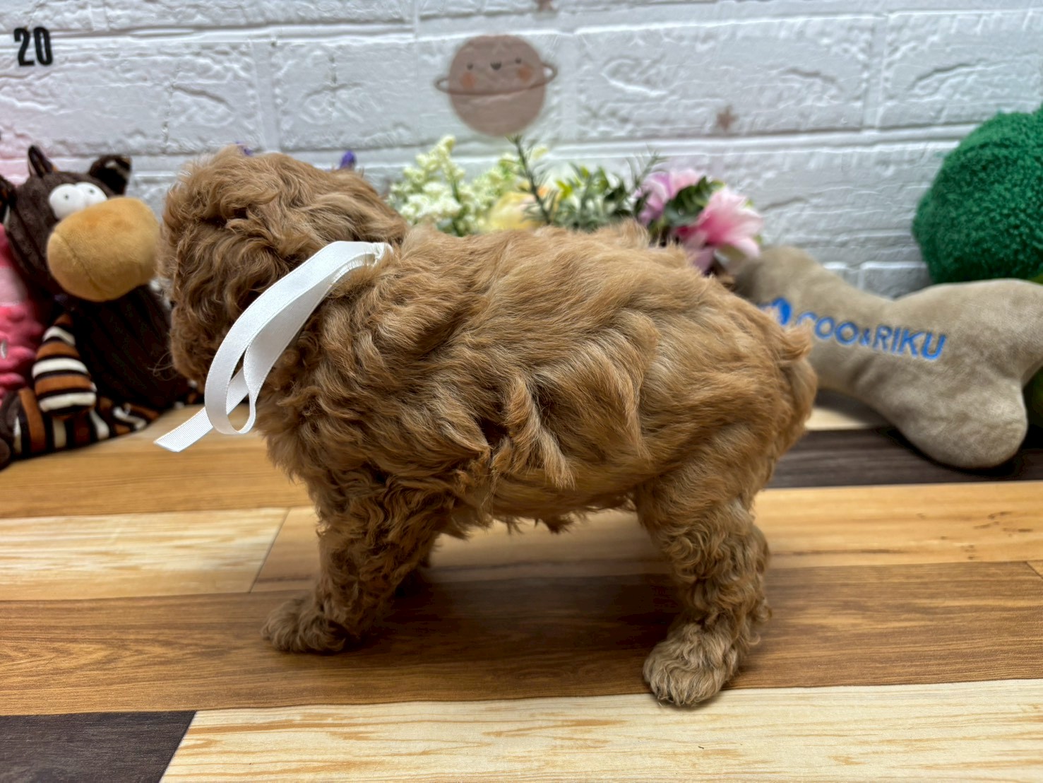 赤ちゃん写真3-2