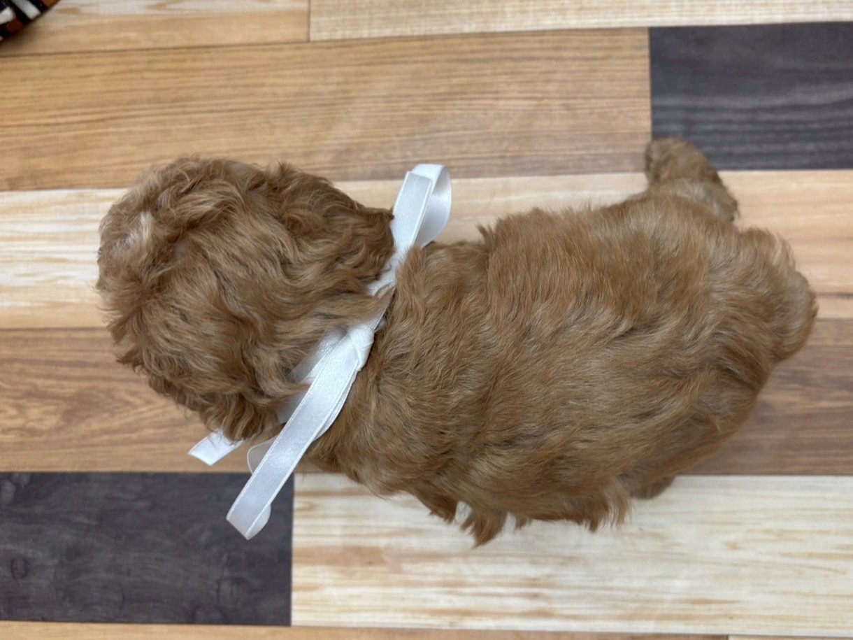 赤ちゃん写真3-3