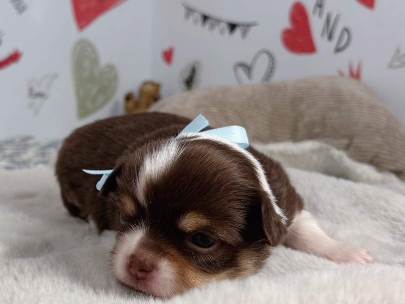 赤ちゃん写真1-1