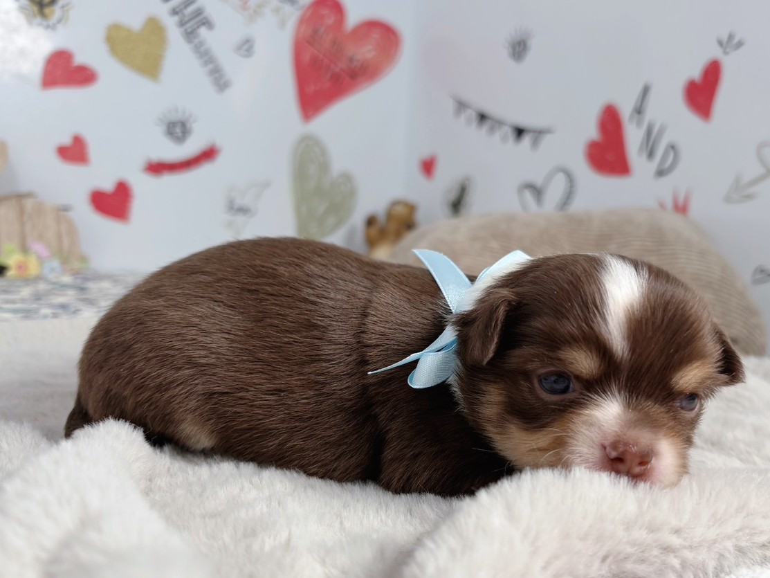 赤ちゃん写真1-2