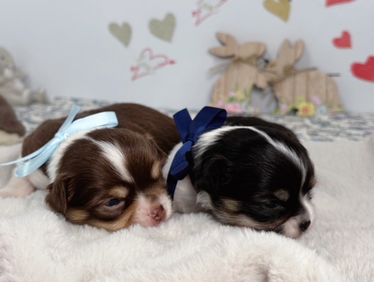 赤ちゃん写真1-3