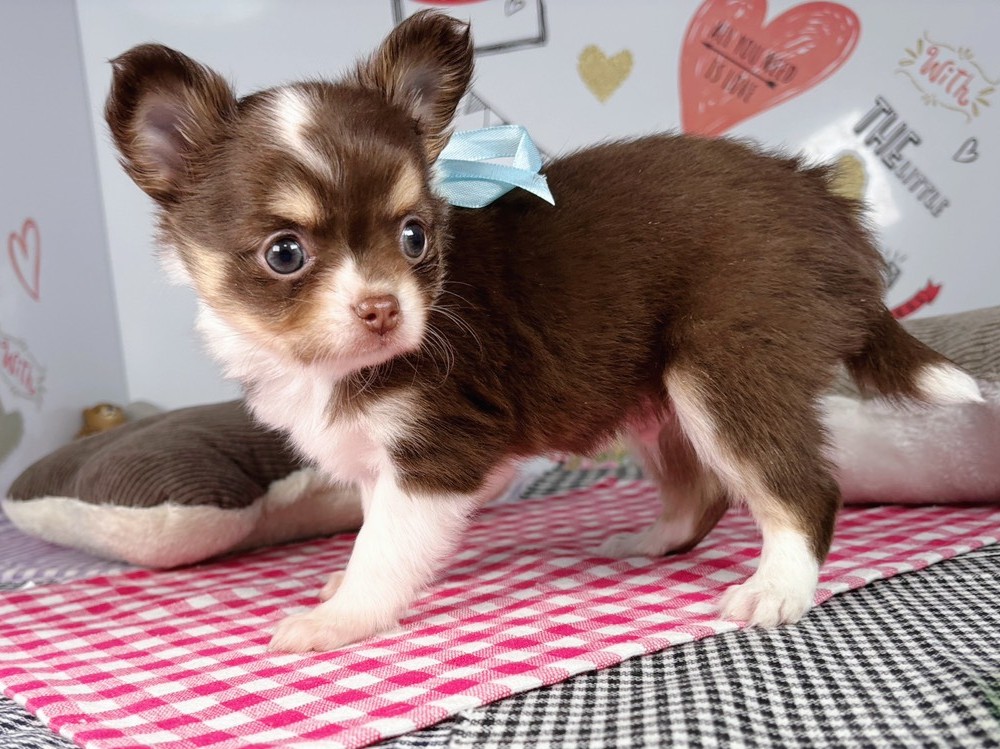 赤ちゃん写真2-2