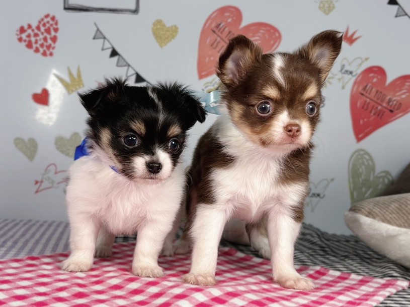 赤ちゃん写真2-3