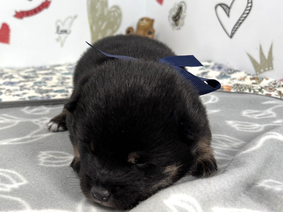 赤ちゃん写真1-1