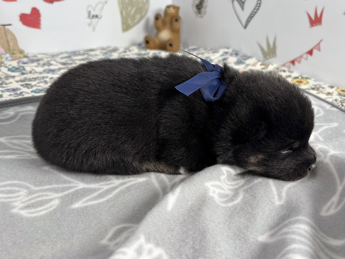赤ちゃん写真1-2