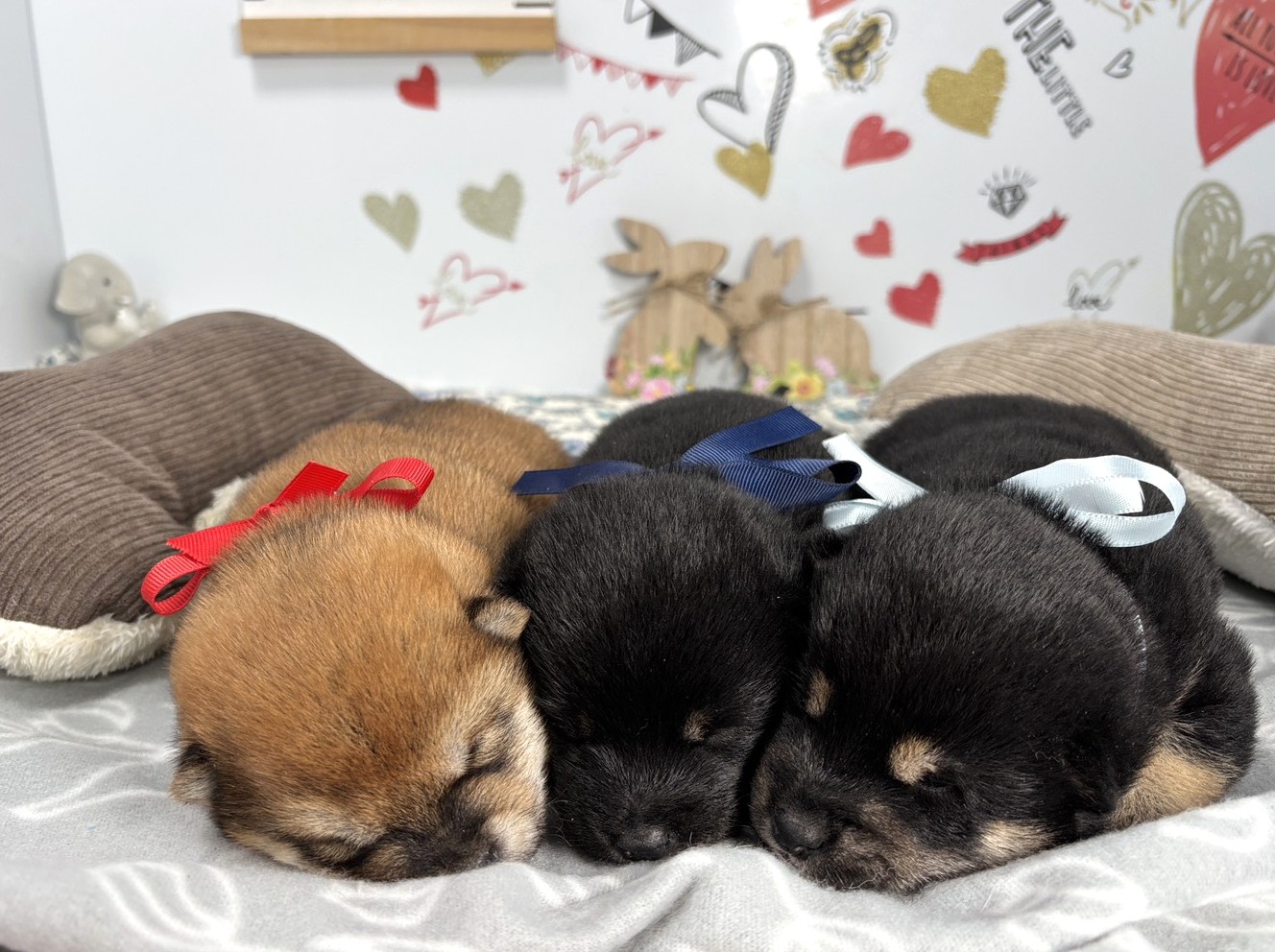 赤ちゃん写真1-3