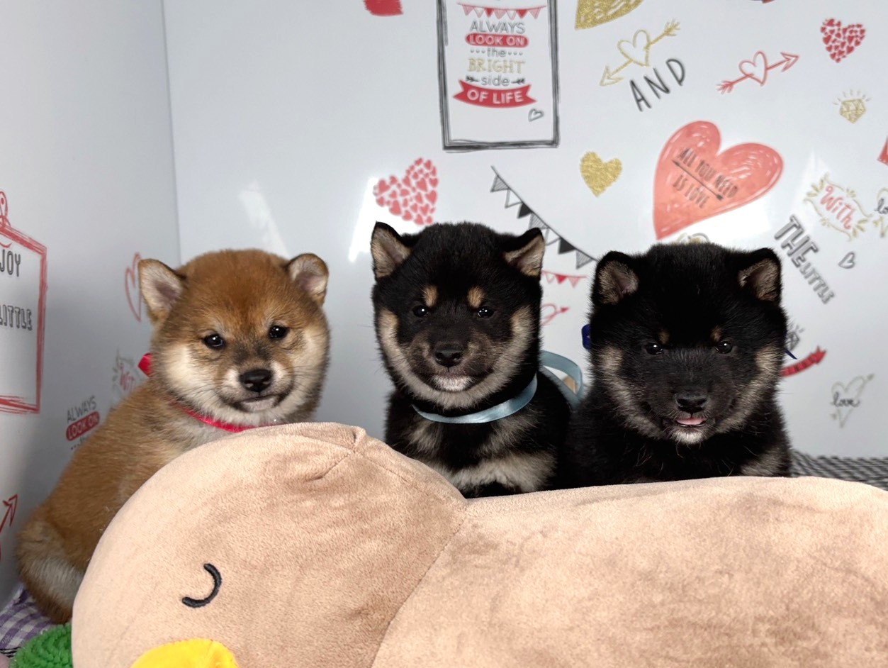 赤ちゃん写真2-3