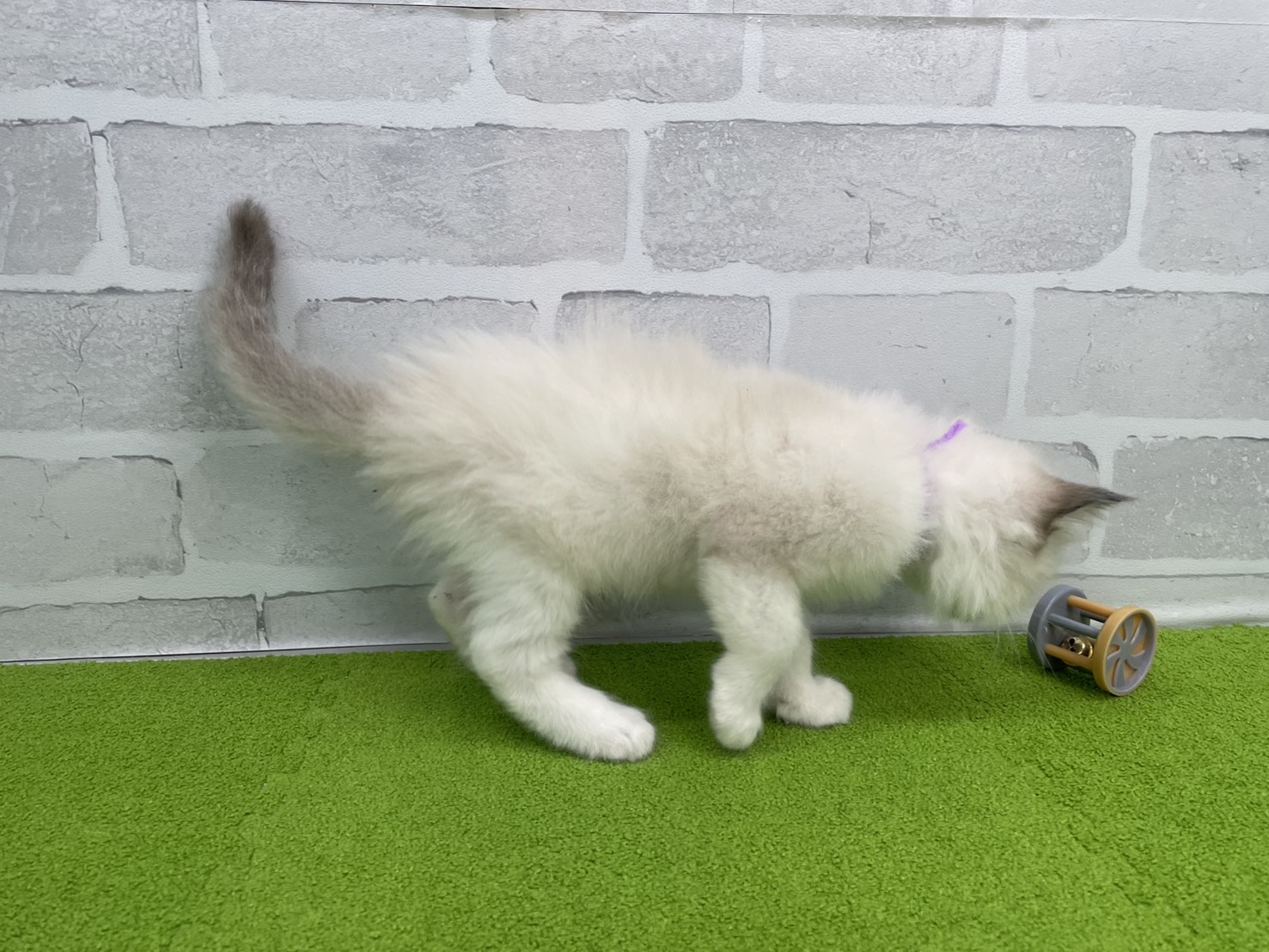 赤ちゃん写真2-2