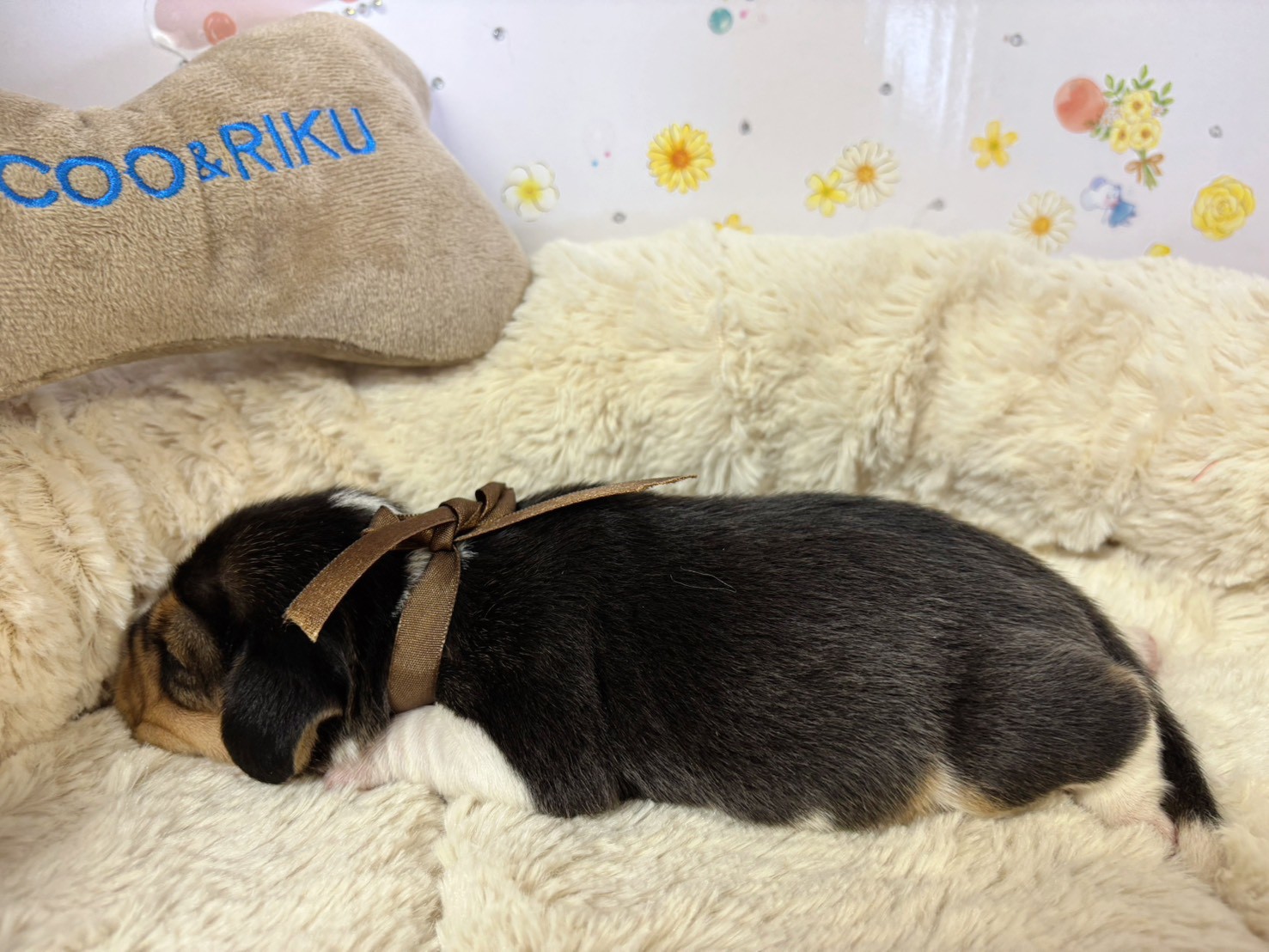 赤ちゃん写真1-2