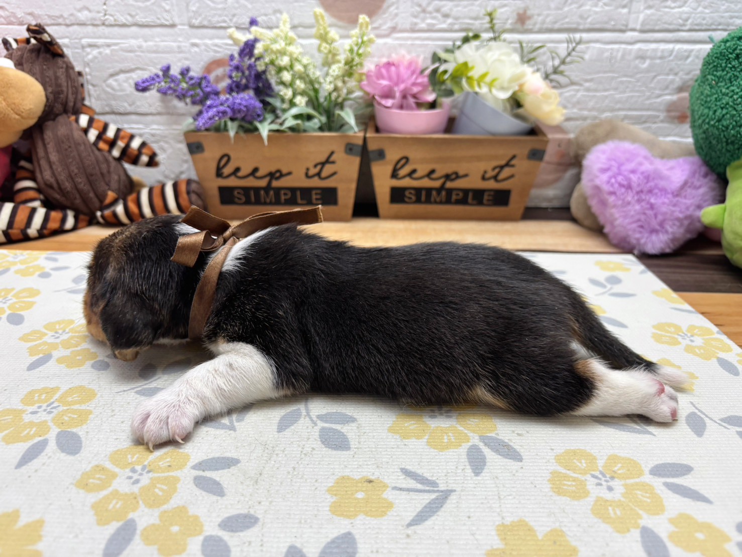 赤ちゃん写真2-2