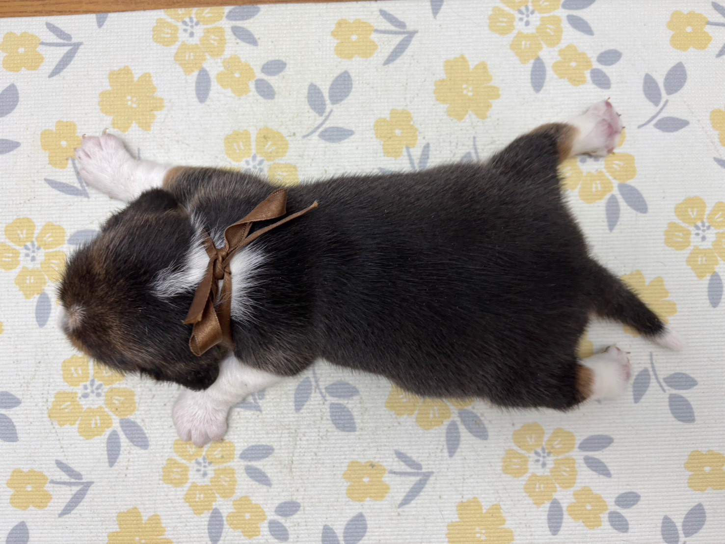 赤ちゃん写真2-3