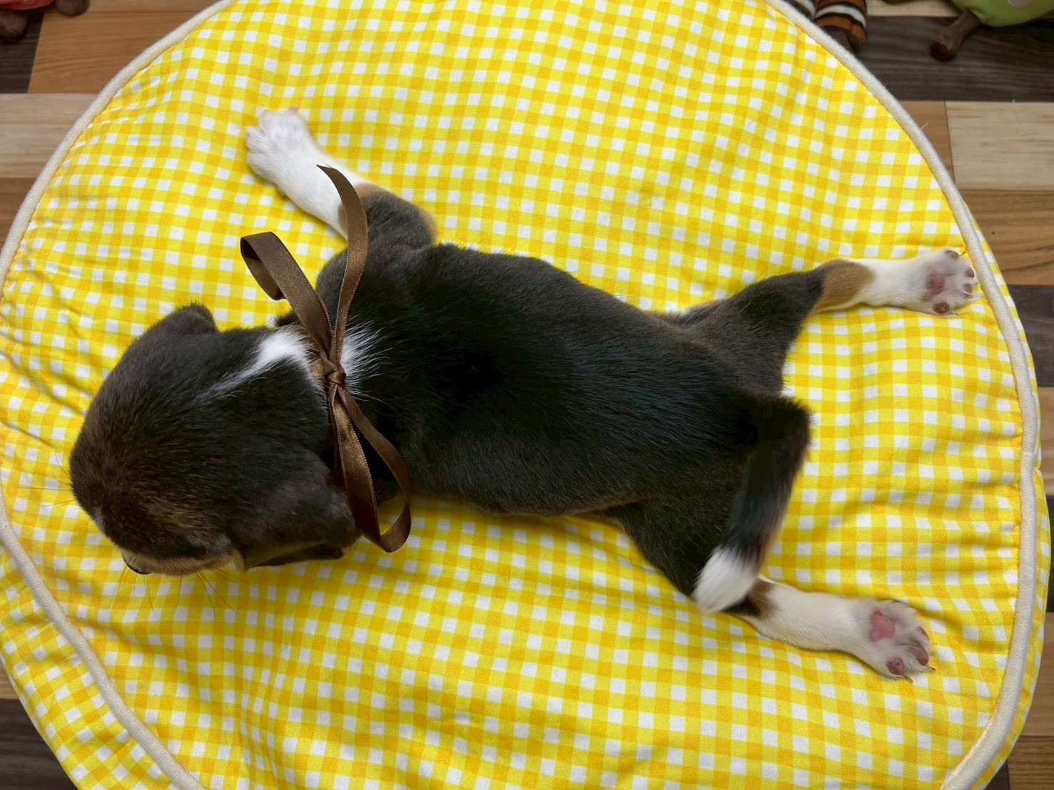 赤ちゃん写真3-3