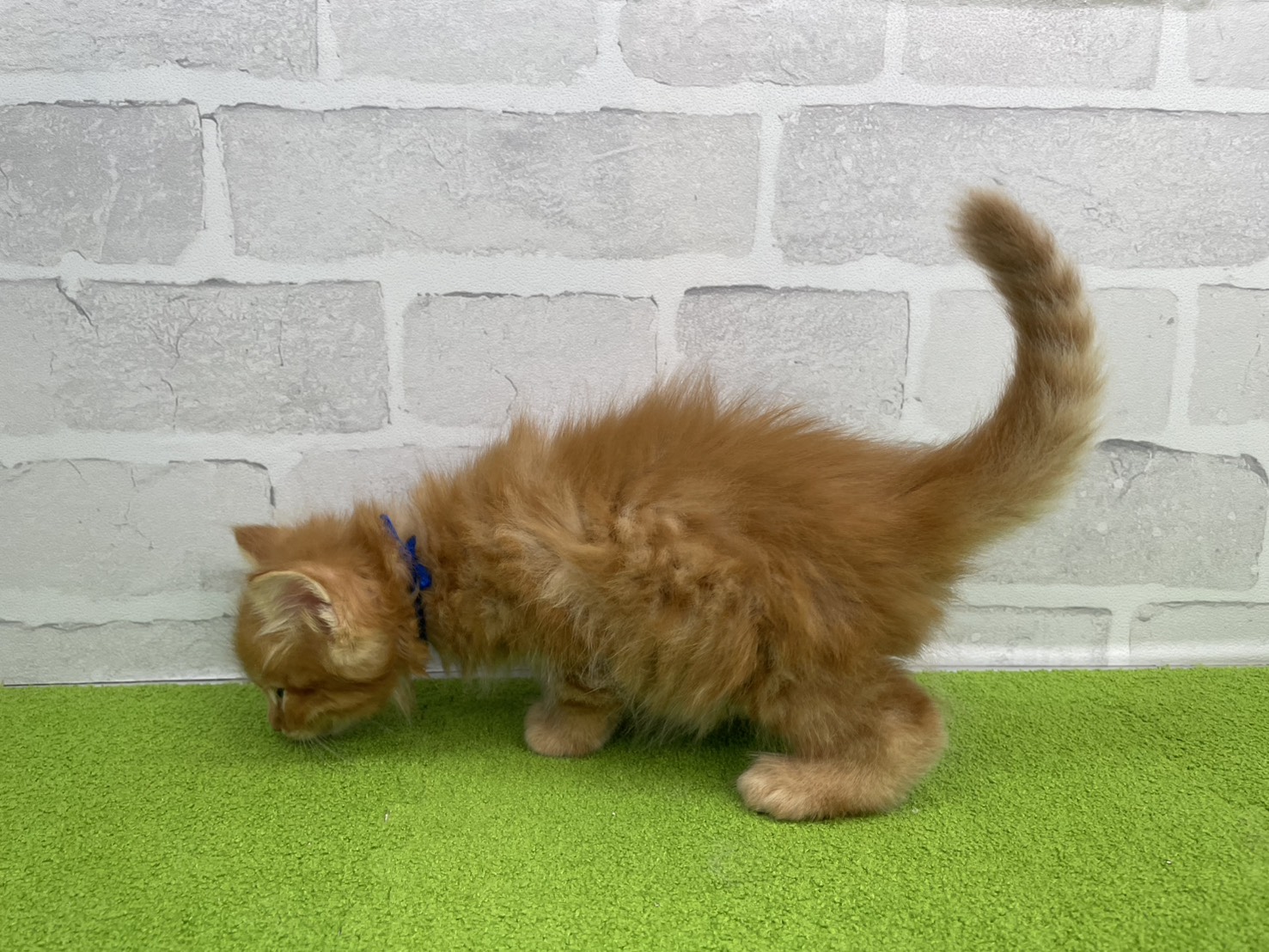 赤ちゃん写真2-2