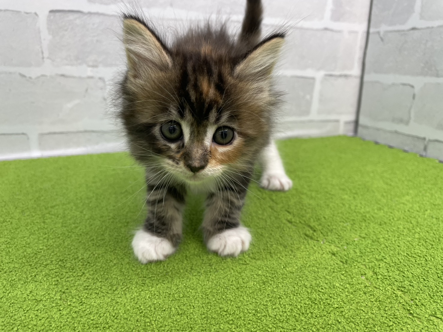 赤ちゃん写真2-1