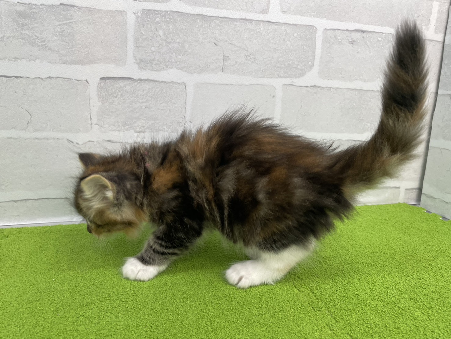 赤ちゃん写真2-2