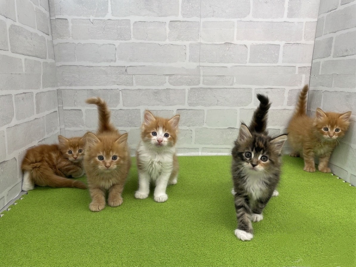 赤ちゃん写真2-3