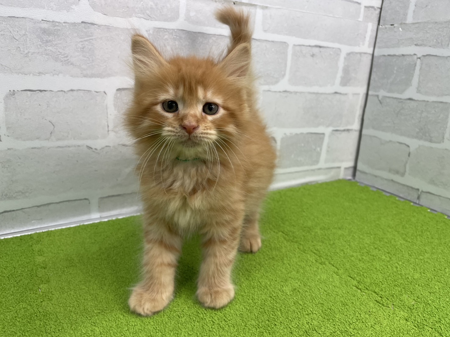 赤ちゃん写真3-1