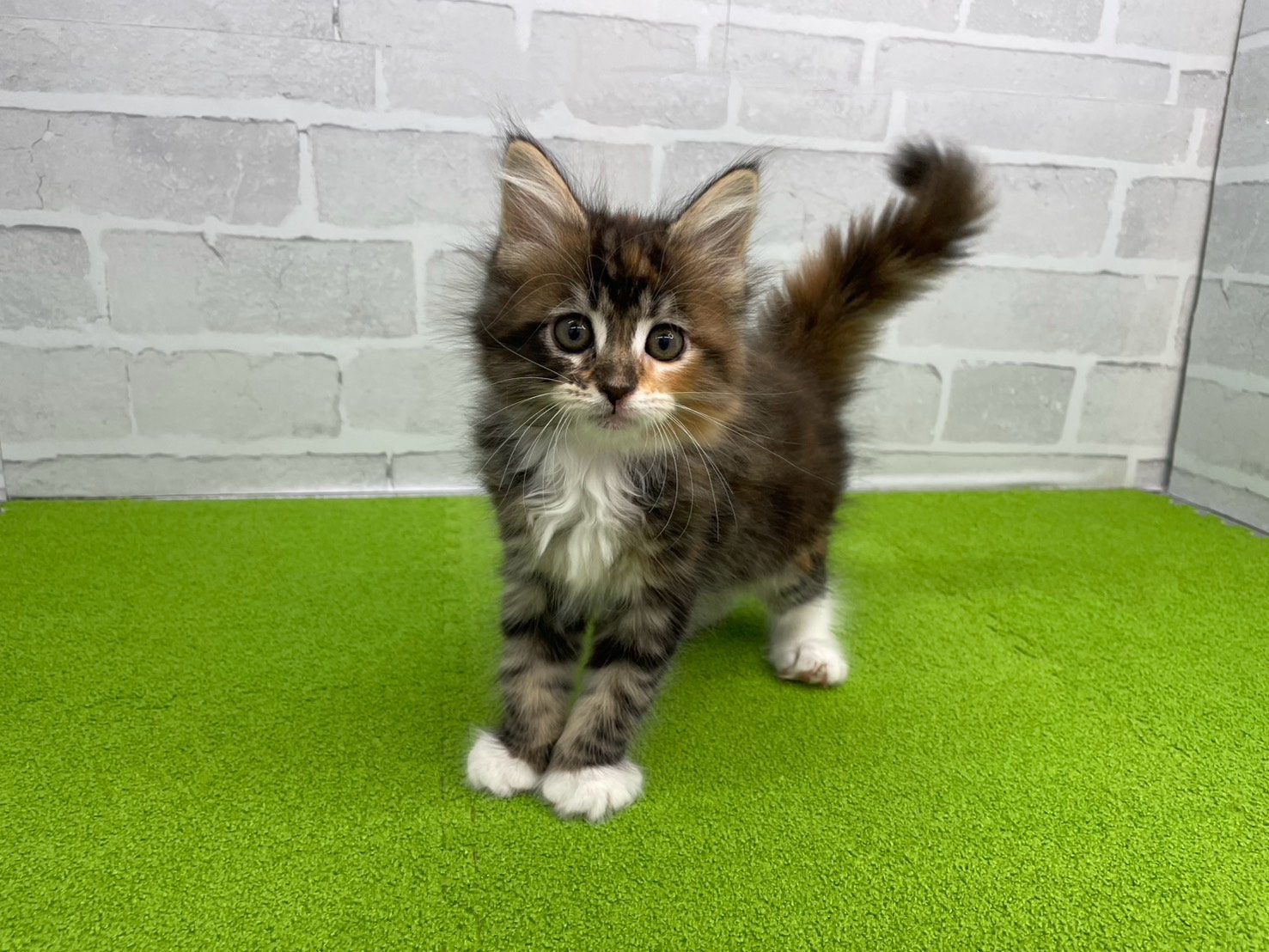 赤ちゃん写真3-1