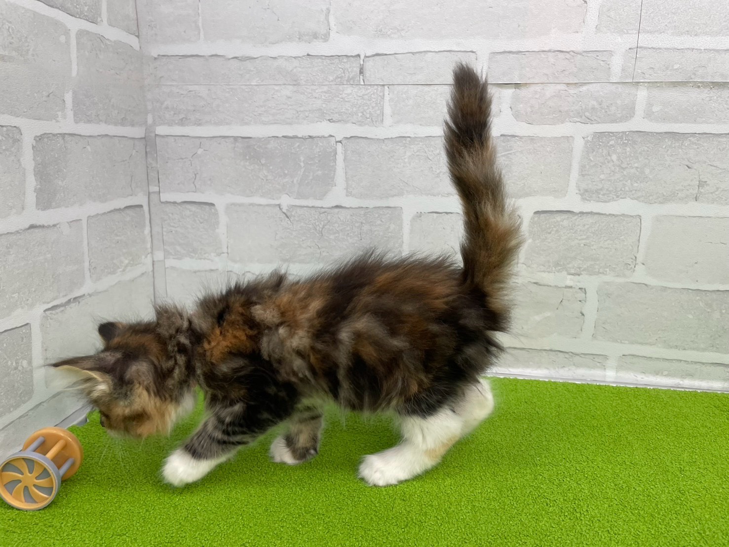 赤ちゃん写真3-2