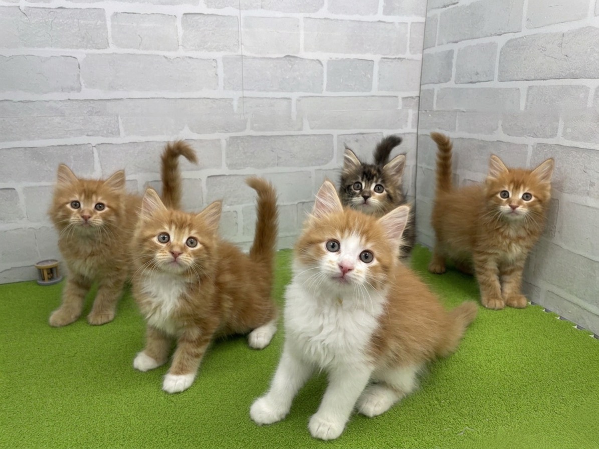 赤ちゃん写真3-3