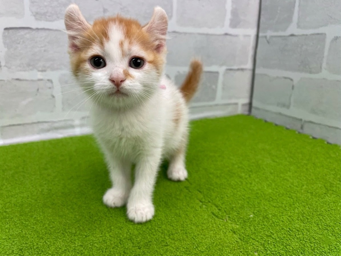 赤ちゃん写真2-1