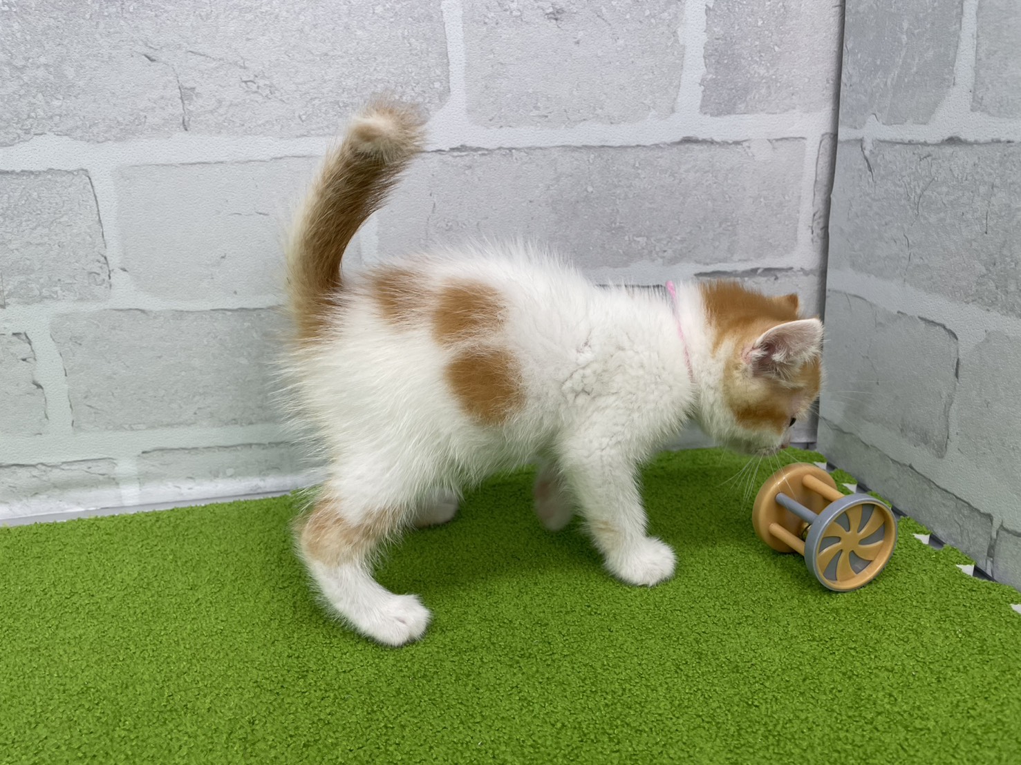 赤ちゃん写真2-2