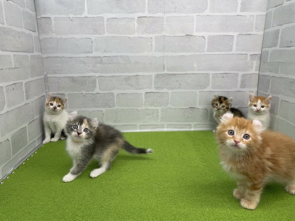 赤ちゃん写真2-3