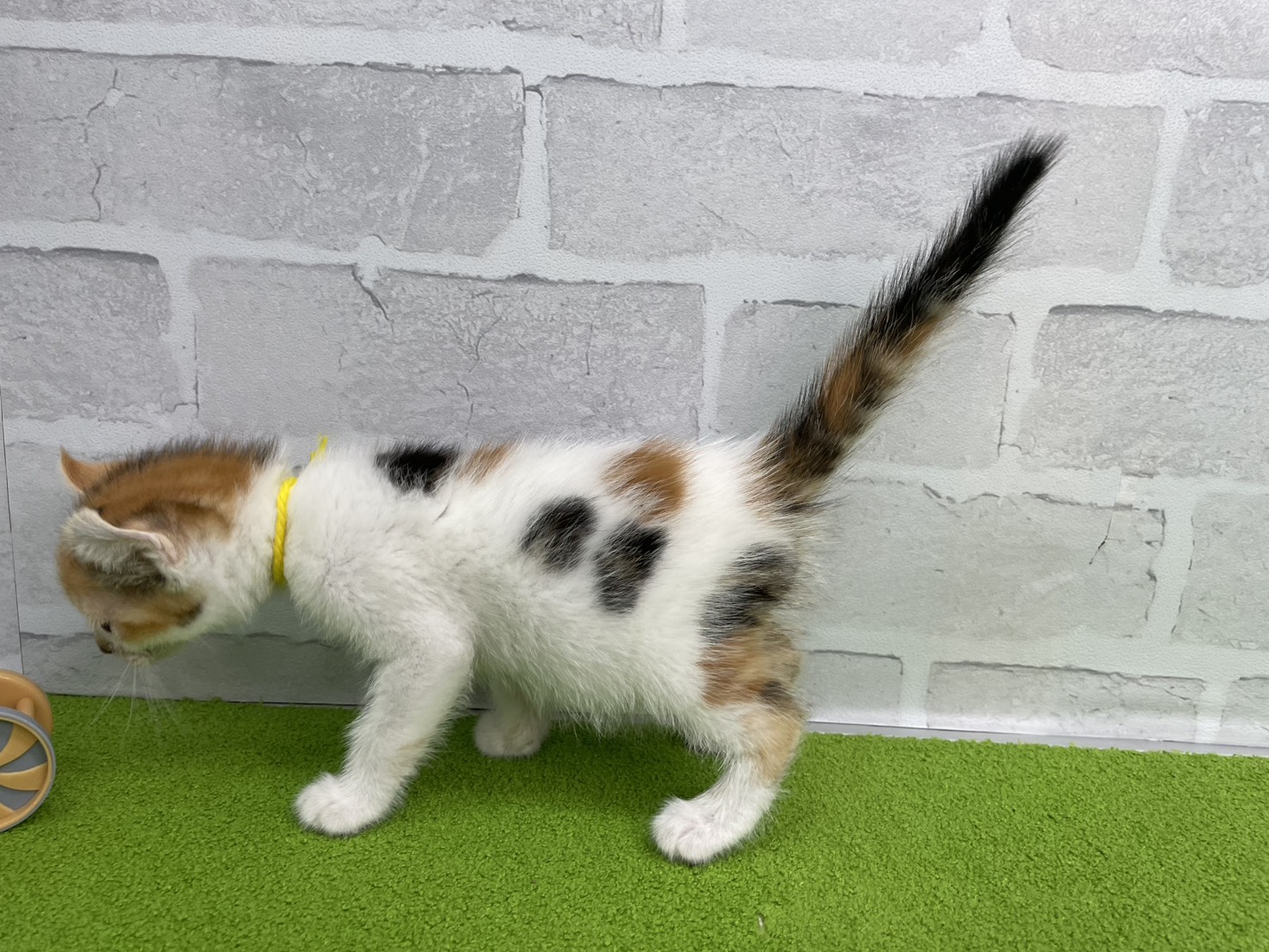 赤ちゃん写真2-2
