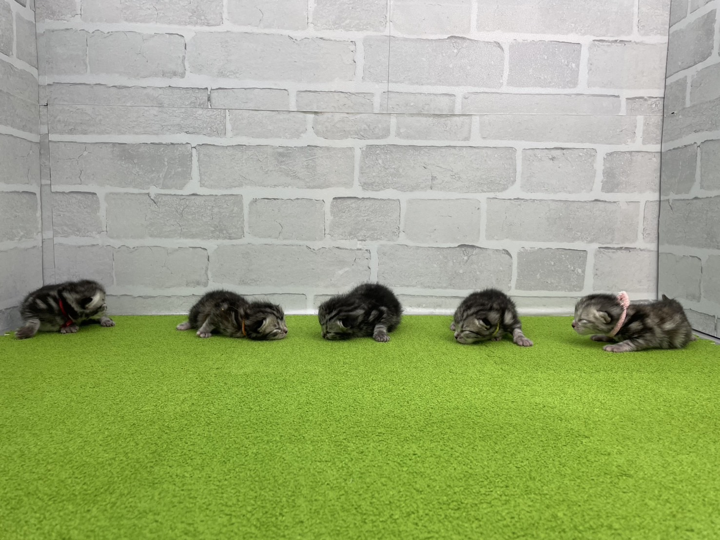 赤ちゃん写真1-3