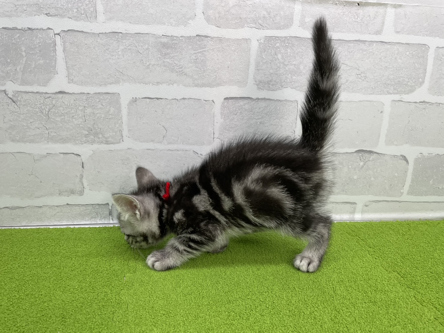 赤ちゃん写真2-2